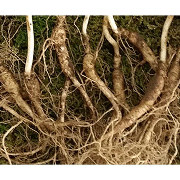 ���� �ڿ����� �ڶ� �߻� ���� 10 12��� 3�Ѹ�