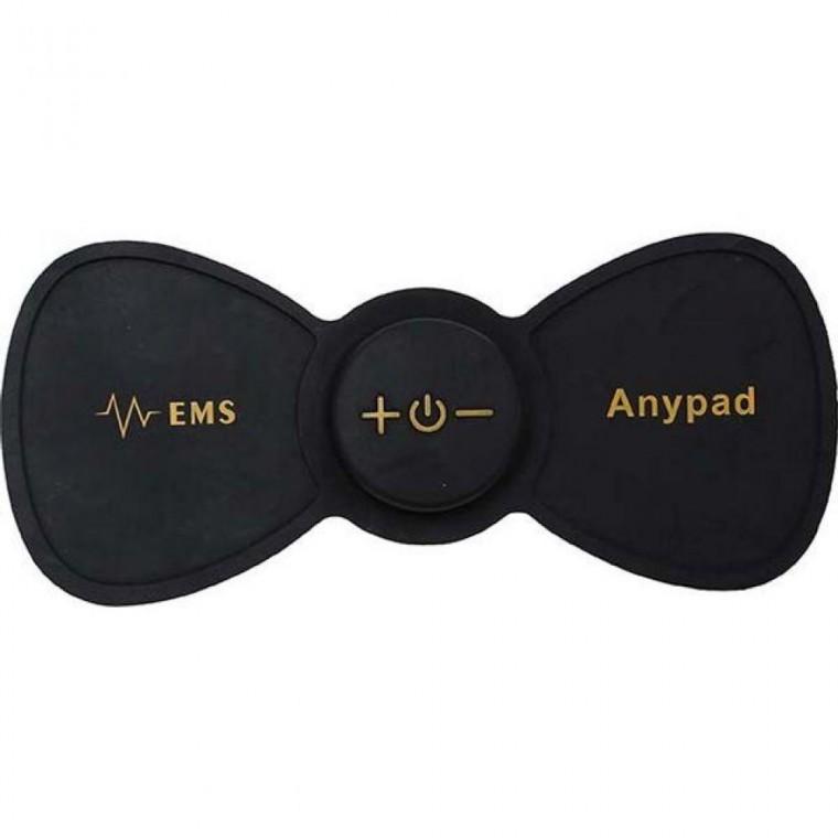 �ִ��е� �������� MT-EMS200 ������ � ������